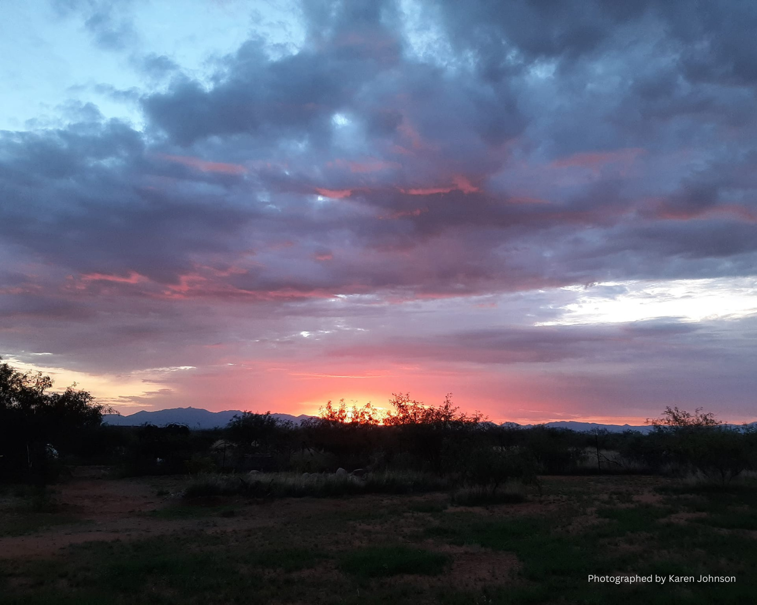 Monthly Chant and Satsanga: June, Chanting into the Sunset 
